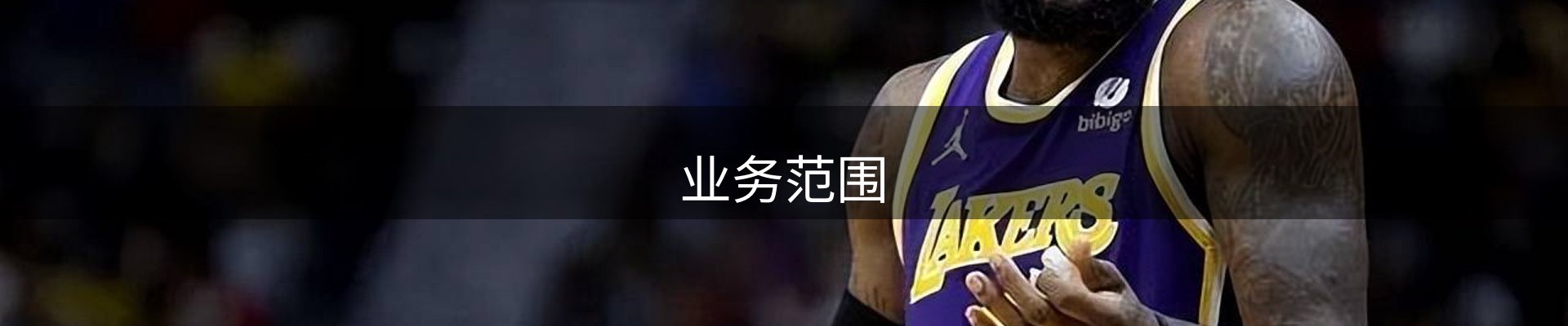 业务范围