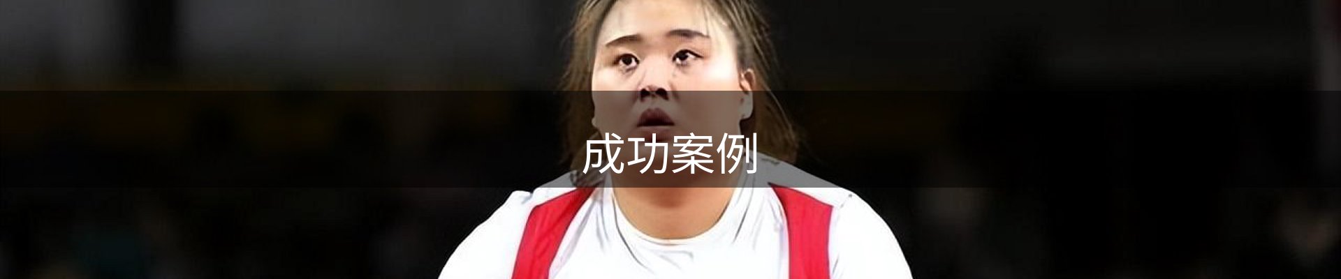 成功案例